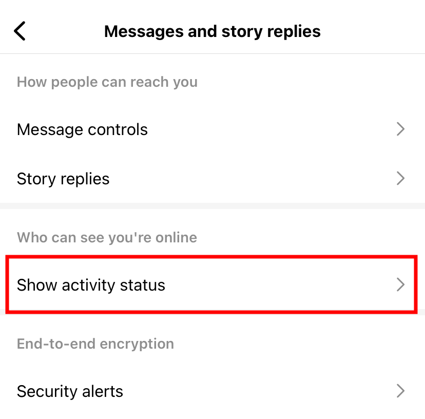 Instagram activity status